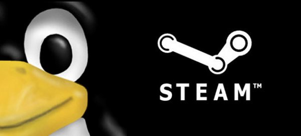 Steam roda games de 64 bits exclusivamente no Linux