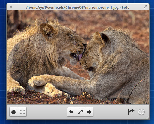 Foto: Novo Visualizador de Imagens para Ubuntu