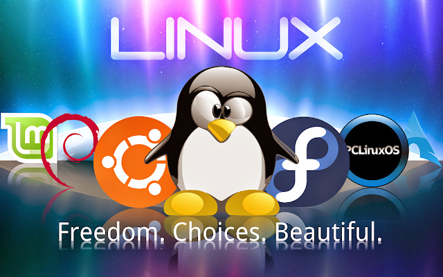 3 motivos para recomendar o Linux Mint para iniciantes