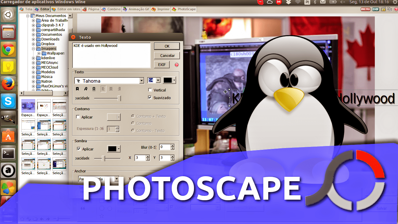 Como instalar o editor de imagens PhotoScape no Ubuntu