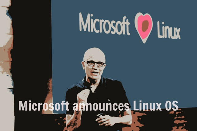 Microsoft desenvolve a sua própria distribuição Linux