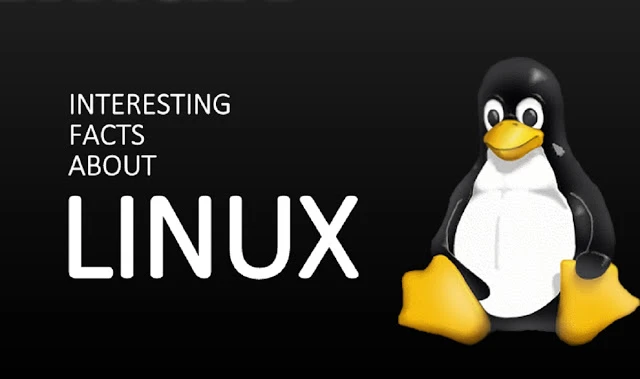 7 fatos incríveis sobre o Linux que vão te surpreender