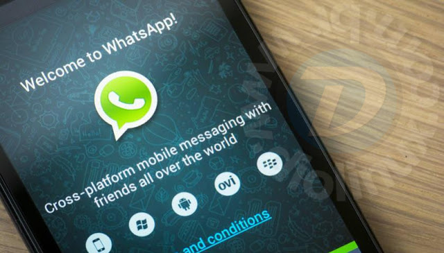 3 novos recursos no WhatsApp Android que chegarão em breve