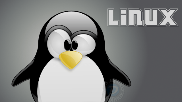 Linux: O software colaborativo mais popular do mundo