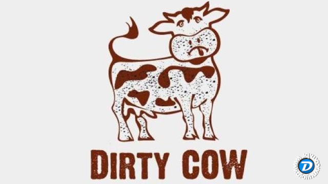 Dirty COW - Um bug que afeta o Linux há 9 anos