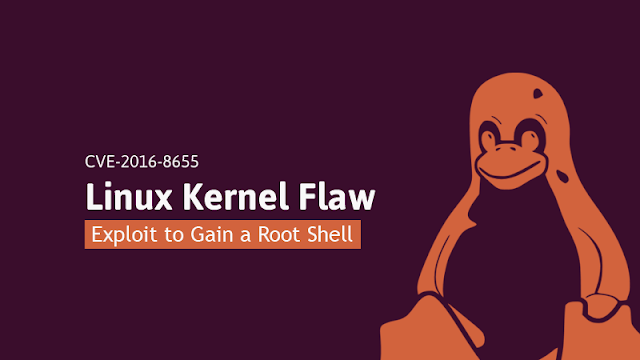 Bug com 5 anos de existência é descoberto no Kernel Linux