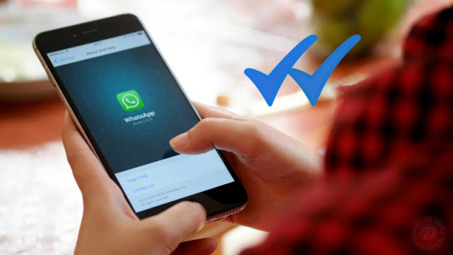 Como ler mensagens no WhatsApp sem que apareçam os dois risquinhos azuis para quem enviou a mensagem