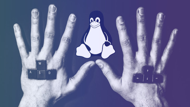 Os gêneros e videogames mais jogados no Linux em 2018