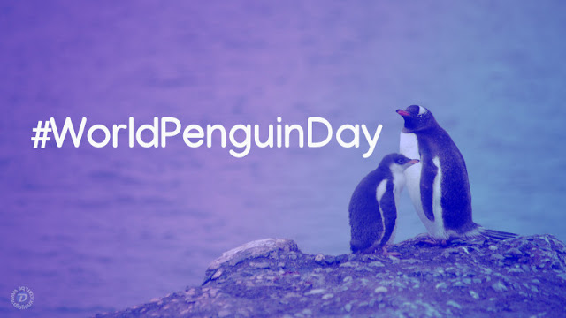 Microsoft comemora “dia do Pinguim” com Linux