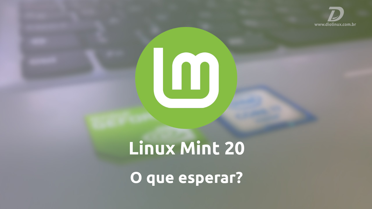 Linux Mint 20 Linux Snap Flatpak Mint Linux Mint
