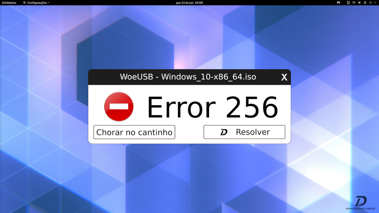 resolver-woeusb-erro-256
