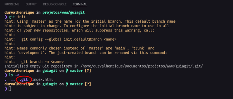 Instalar e usar GIT no Linux: tutorial para iniciantes - Diolinux