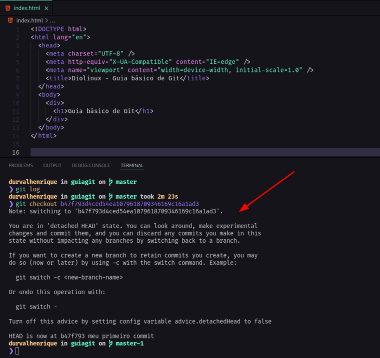 Instalar e usar GIT no Linux: tutorial para iniciantes - Diolinux