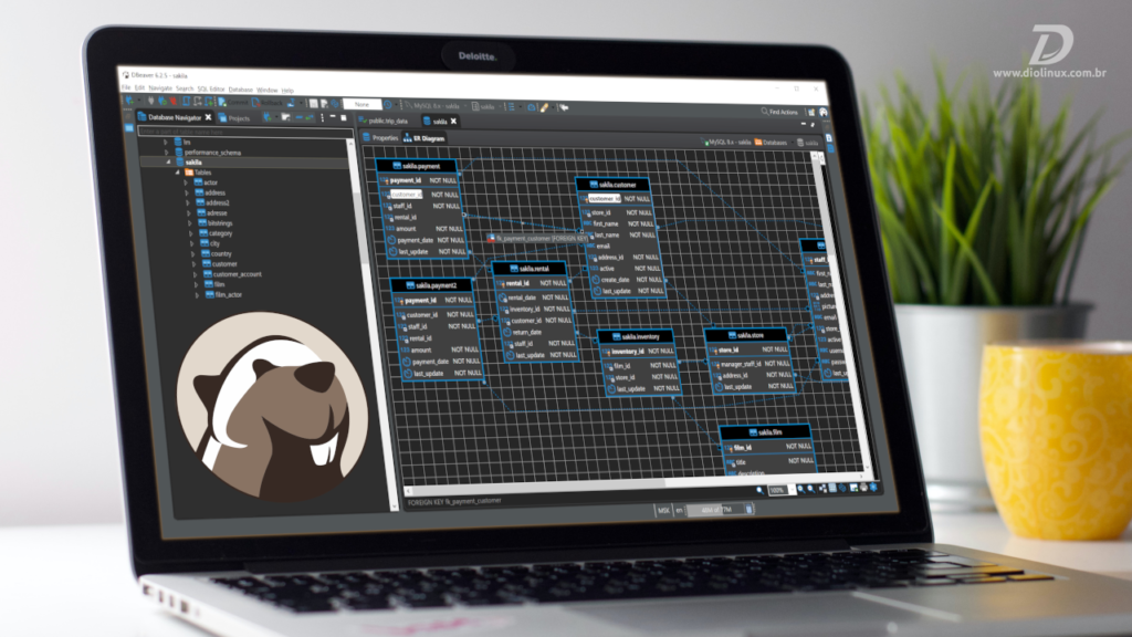 Como instalar o DBeaver no Ubuntu, Fedora, Arch e derivados Diolinux