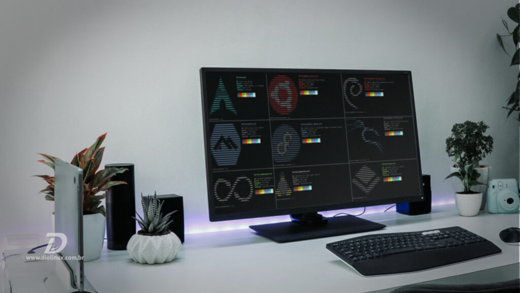 Distrobox: como configurar e instalar suas primeiras distros - Diolinux